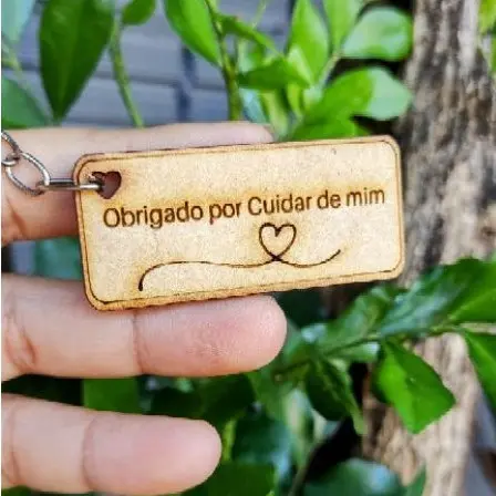 Chaveiro Lembrancinha 35 UNIDADES MDF PRONTO PARA USO  PERFEITO ACABAMENTO TODOS CORTADOS NA MAQUINA