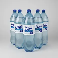 kit 6 refrigerante zero açucar gengibirra fardo 2 Litros cini gengibre fitness saudavel promoçao
