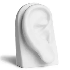 Expositor Piercing Silicone Orelha Direita Branco