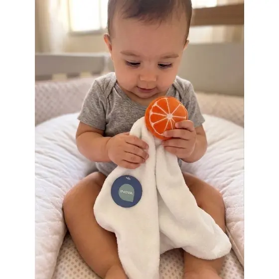 Naninha  Bebê Manta com pelúcia  Personalizada bordada com nome e sem nome 30x30cm