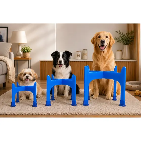 Suporte Elevado para Comedouros e Bebedouros para Cachorros e Gatos P, M e G Color, Prático e ajuda na postura dos pets.