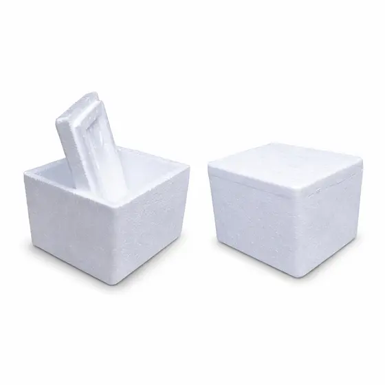 30 UN CAIXA DE termica ISPOR EPS PEQUENA - 250ml