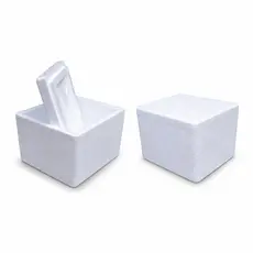 30 UN CAIXA DE termica ISPOR EPS PEQUENA - 250ml