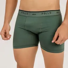 Kit 2 Cueca Boxer Box Pollo Adulto Poliamida Conforto Qualidade