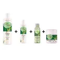 Shampoo e Condicionador Antiqueda - Kit Capihair 15 Ervas Abelha Rainha