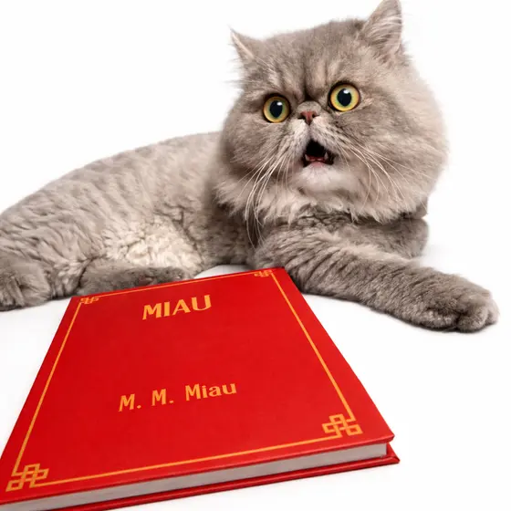 Livro Miau - Capa Dura | Presente Para Quem Ama Gatos