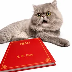 Livro Miau - Capa Dura | Presente Para Quem Ama Gatos