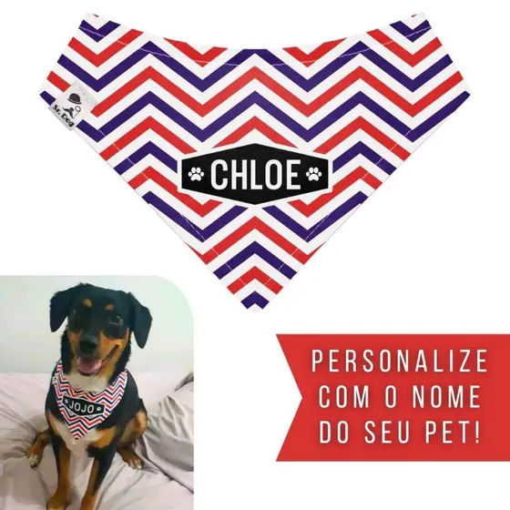 Bandana Pet Personalizada Sr. Dog - Estampa CD01