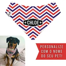 Bandana Pet Personalizada Sr. Dog - Estampa CD01