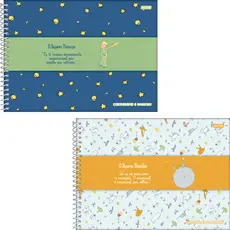 Caderno Desenho/ Cartografia O Pequeno Principe 96 Folhas Jandaia