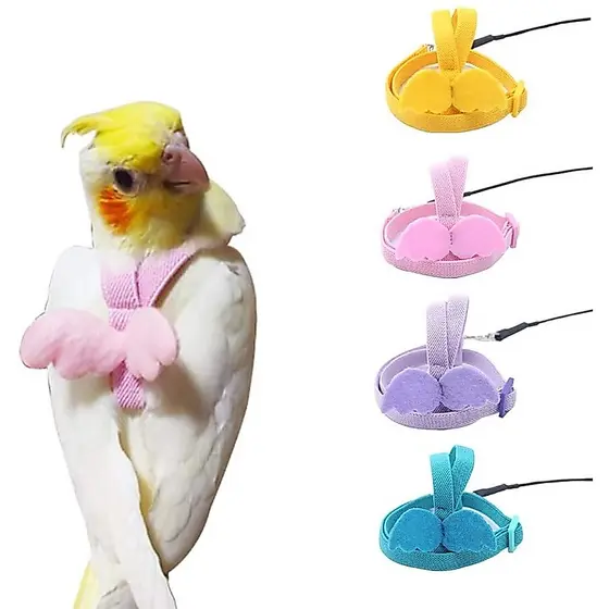 Coleira Para Pássaro Papagaio Arreios E Trela Voando Corda Cintas De Treinamento De Tração Budgerigar Pequeno Pássaros