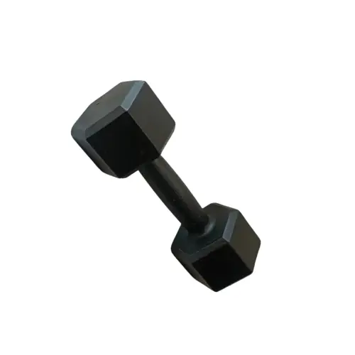 Halter Sextavado Ferro 05Kg