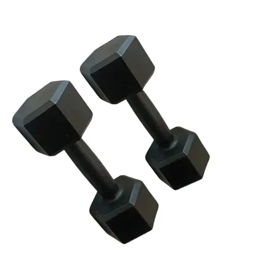 Par Halter Sextavado Ferro 10Kg