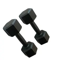 Par Halter Sextavado Ferro 10Kg