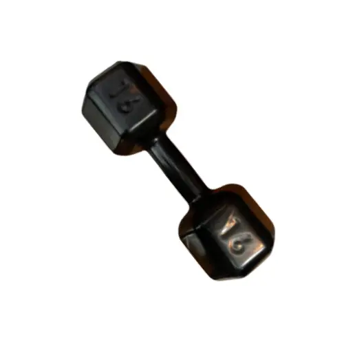Halter Sextavado Emborrachado 16Kg