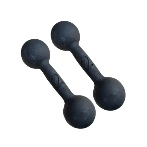 Par Halter Ferro 02Kg Academia