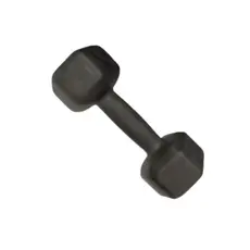 Halter Sextavado Ferro 26Kg