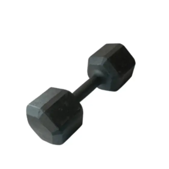 Halter Sextavado Ferro 14Kg