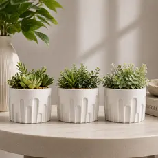 Kit 3 Vasos de Plantas Arcos Suculentas Vaso Decorativo em Gesso para e Cactos Decoração Sala