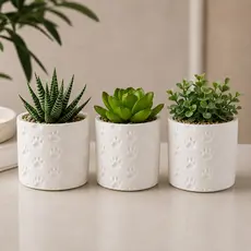 Kit 3 Vasos de Plantas Vaso Patinhas Suculentas Vaso Decorativo em Gesso para e Cactos Decoração Sala