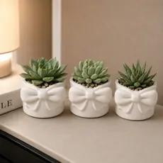 Kit 3 Vasos de Plantas Vaso Laço Encanto Suculentas Vaso Decorativo em Gesso para e Cactos Decoração Sala