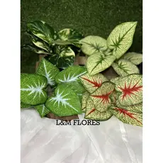 Buquê de Diffenbachia/Comigo Ninguem Pode artificial com 9 galhos ideal para arranjos e decoração