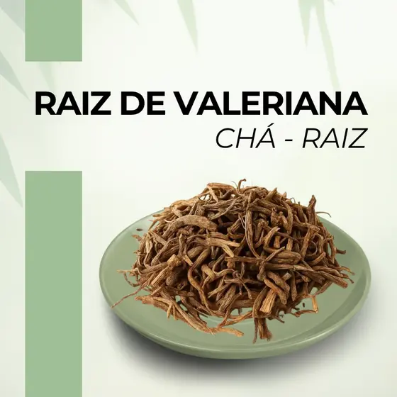 Valeriana em Raiz 100% Natural | Valeriana officinalis | Raiz para Infusão |