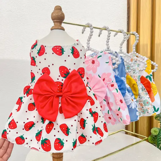Roupas Para Cães Primavera E Verão Vestido De Gato De Pelúcia Urso De Luta Animais De Estimação