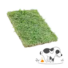Refil Tapete Higiênico Grama Natural Pet 40x30cm Adestrar no Local