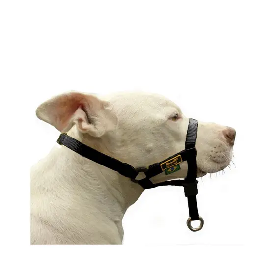 Coleira Cabresto Para Cachorro Halti Para Adestramento De Cachorro