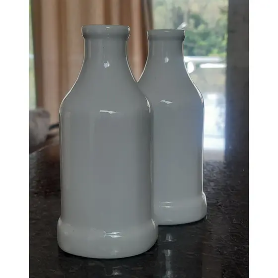 Jogo 2 Vasos garrafa decorativo - porcelana Branca