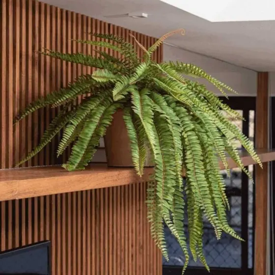 planta artificial samambaia artificial 69cm