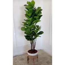 planta artificial ficus lyrata 1.10mt/sem o vaso