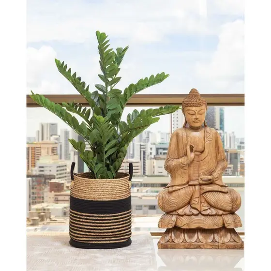 planta zamioculca artificial 50cm o vaso não acompanha