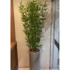 planta bambu artificial 1mt 6 galhos sem o vaso