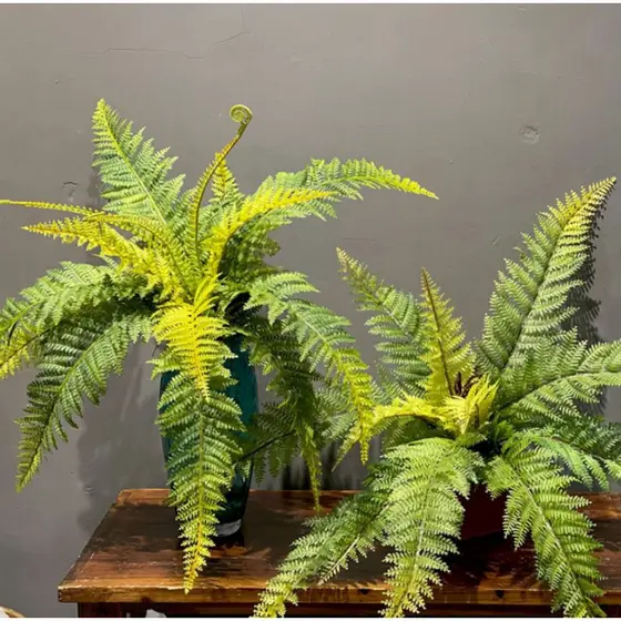 planta artificial kit com 4 unidades samambaia portuguesa 55 cm