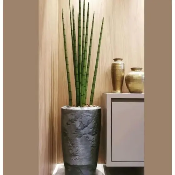 planta artificial lança rabo de Tatu 100cm 12 hastes o vaso não acompanha
