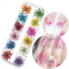 Caixinha com 12/24/36 Flores Secas Encapsulamento Decoração Unhas De Gel