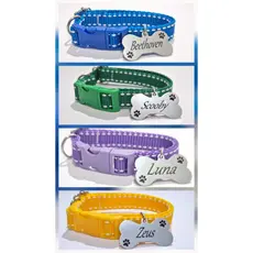 Coleira Para cães e Gatos Com Plaquinha de Identificação GRAVADA!!!