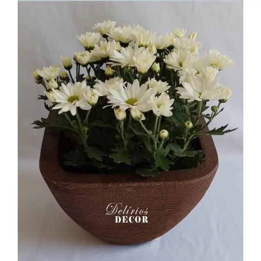 Vaso de Planta Decorativo Reciclável em Polietileno, Vaso Quadrado Cód. 66