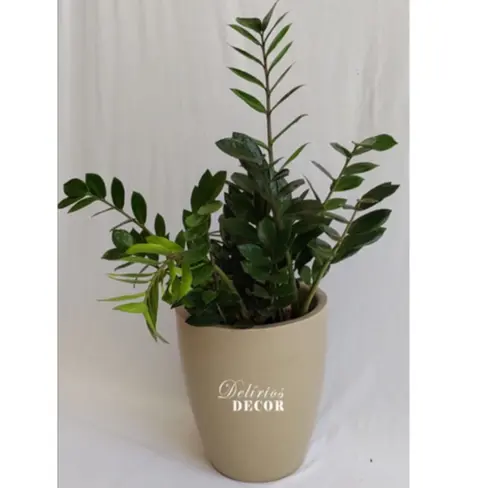 Vaso de Plantas e flores Decorativo Reciclável em Polietileno,  Redonda Cód. B50