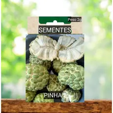 Sementes Fruta do Conde PINHA  doce plante em vaso Jardim horta #4