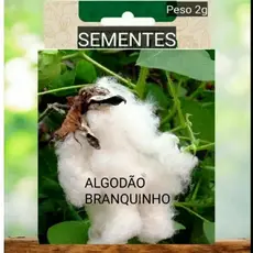 Kit SEMENTES ALGODÃO BRANQUINHO  plante vaso Jardim terra OFERTA