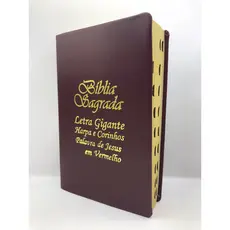 Bíblia Sagrada Tamanho Grande com Harpa Palavras de Jesus em Vermelho Capa Vinho
