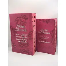 Kit 2 Bíblias Mãe e Filha Com Harpa e Palavras De Jesus Em Vermelho - Capa Folha Pink