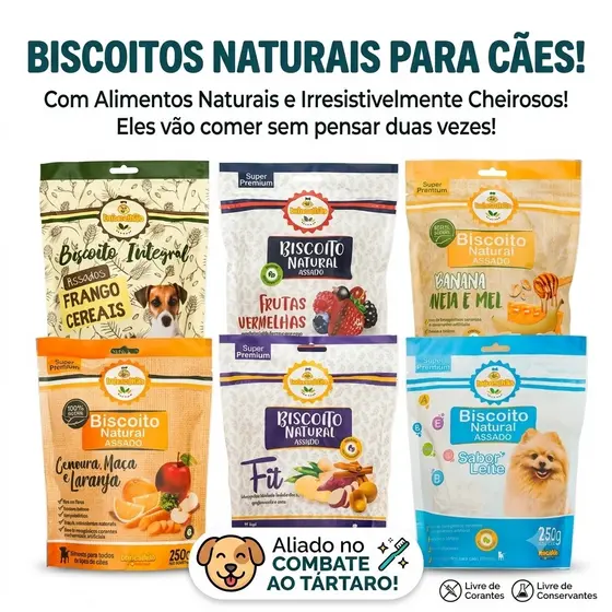 Biscoito Petisco para Cachorro Cães Brincalhão 250g