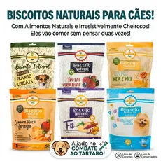 Biscoito Petisco para Cachorro Cães Brincalhão 250g