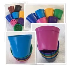 50 Vasos 200 Ml Coloridos Pote 9 Suculentas Adenium Lembrancinhas