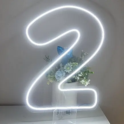 Placa de Neon LED para Decoração de Festas – Números de 0 a 9 (50 cm)