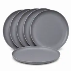 Kit 6 Pratos Raso De Jantar Plastico Luxo Pode Lava Louça E Microondas